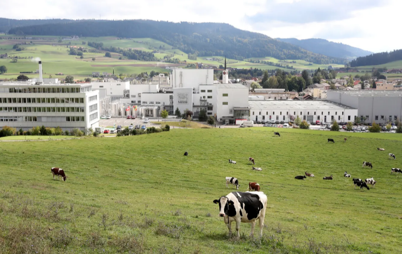 Nestlé ist ein Feindbild – aber im Emmental zeigt sich, was so ein Weltkonzern der Schweiz bringt