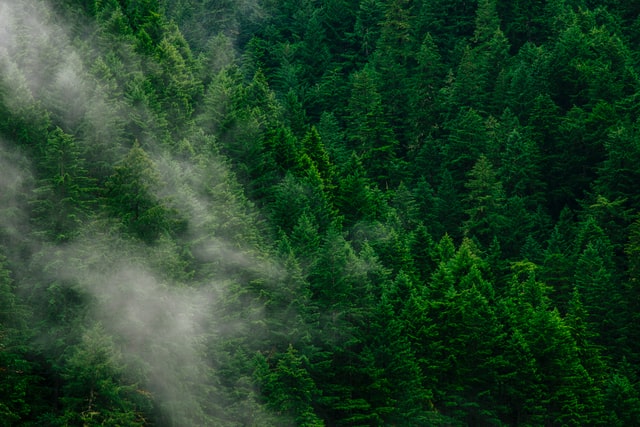 Die meisten Schweizer Grosskonzerne erfüllen ein 2-Grad-Klimaziel