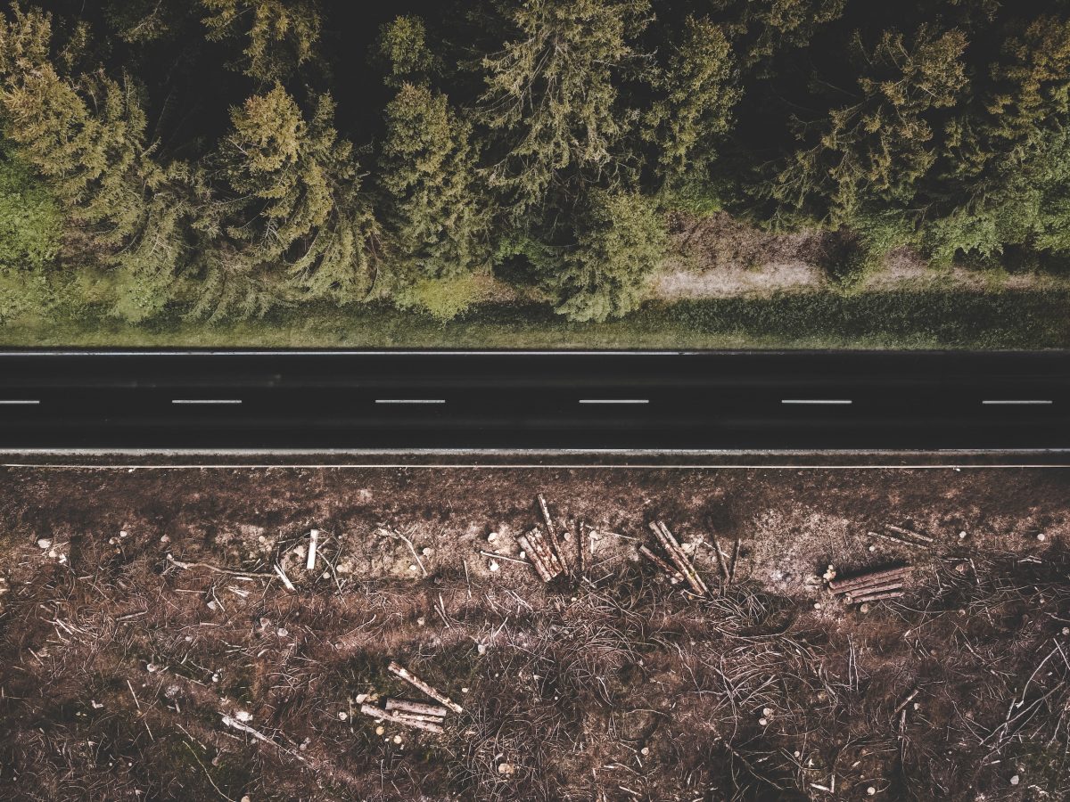 Immer mehr Schweizer Holz landet im Ofen