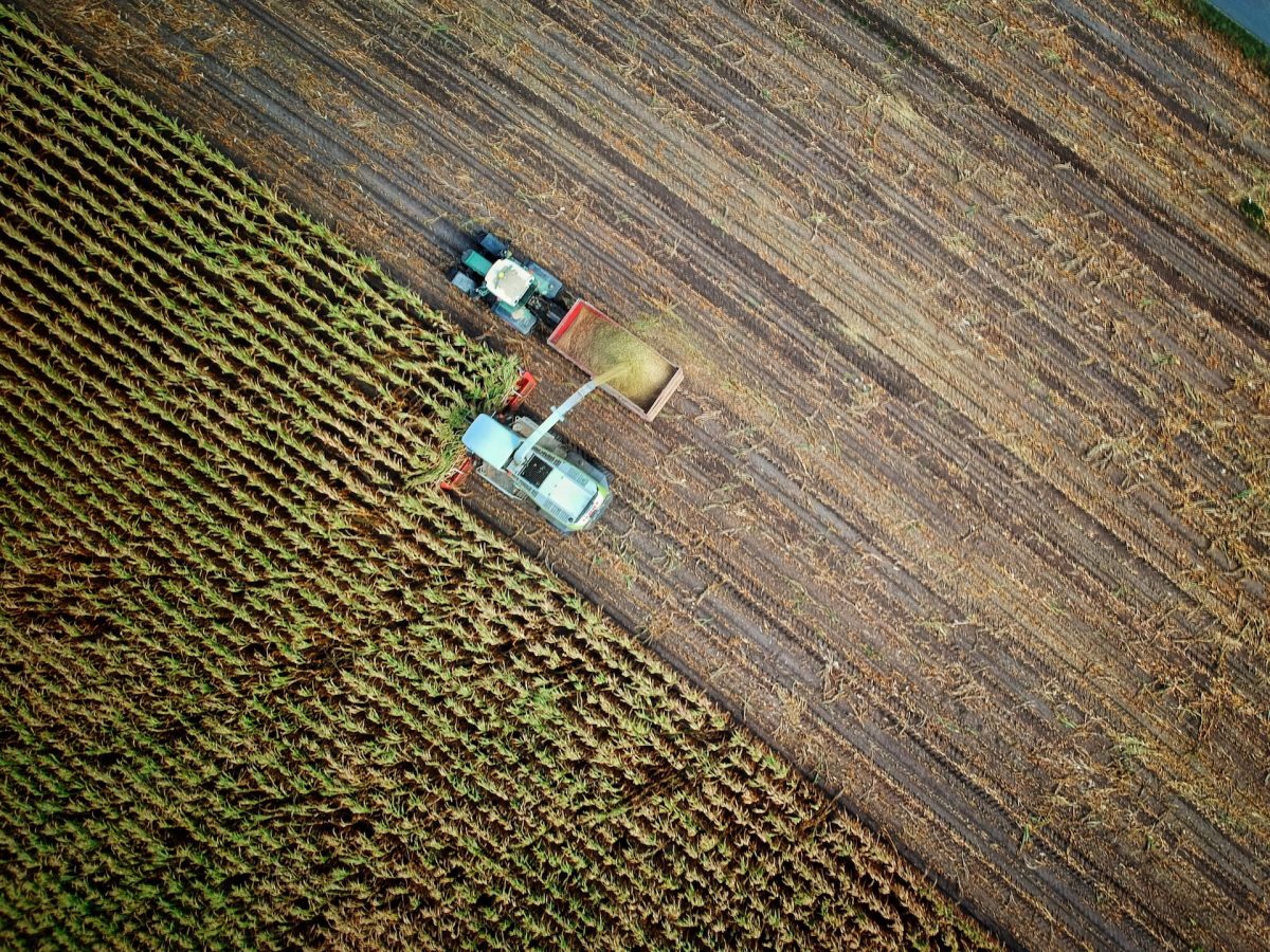 Bundesrat möchte weniger Geld für die Landwirtschaft ausgeben