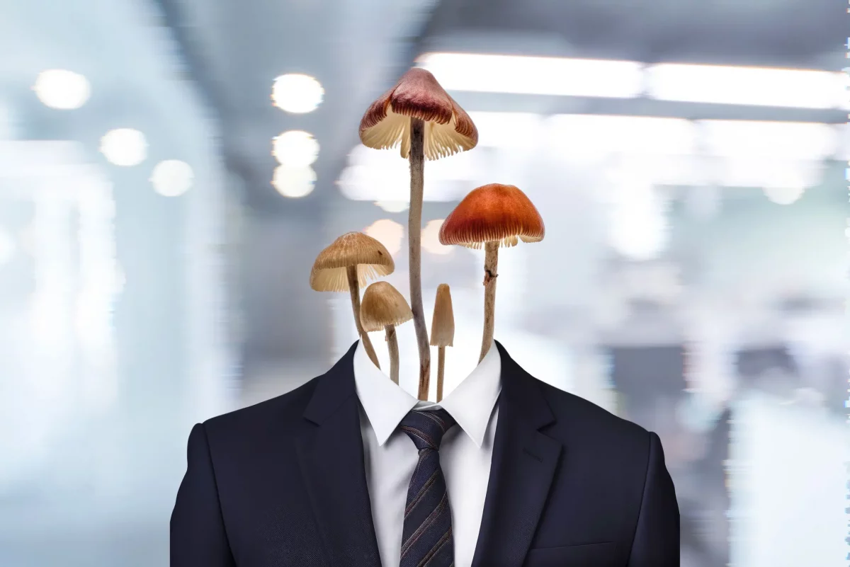 Manager auf Magic Mushrooms: «Psychedelic Leadership» ist im Trend Seminare, in denen Führungskräfte gemeinsam Pilze konsumieren, boomen. Zwei Teilnehmer und ein Veranstalter erzählen.