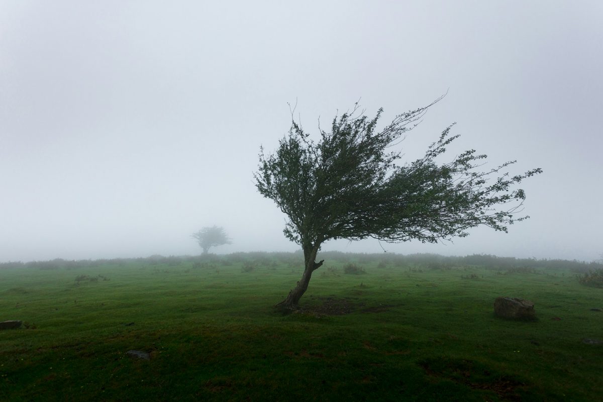 Der Schweizer Konjunktur schlägt zunehmend ein kalter Wind ins Gesicht